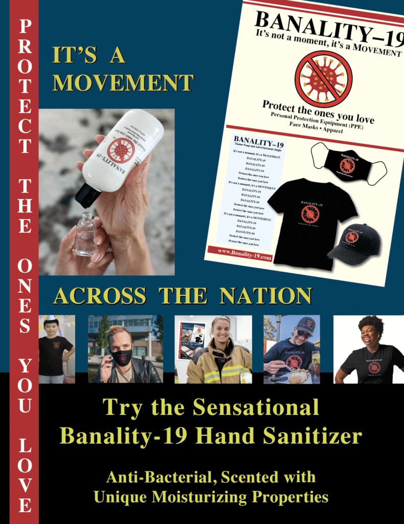 another BANALITY-19 capability statement infographic